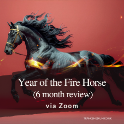 Year of the Fire Horse ( 6 month review)